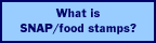 What are food stamps?