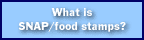 What are food stamps?