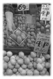 Verduras